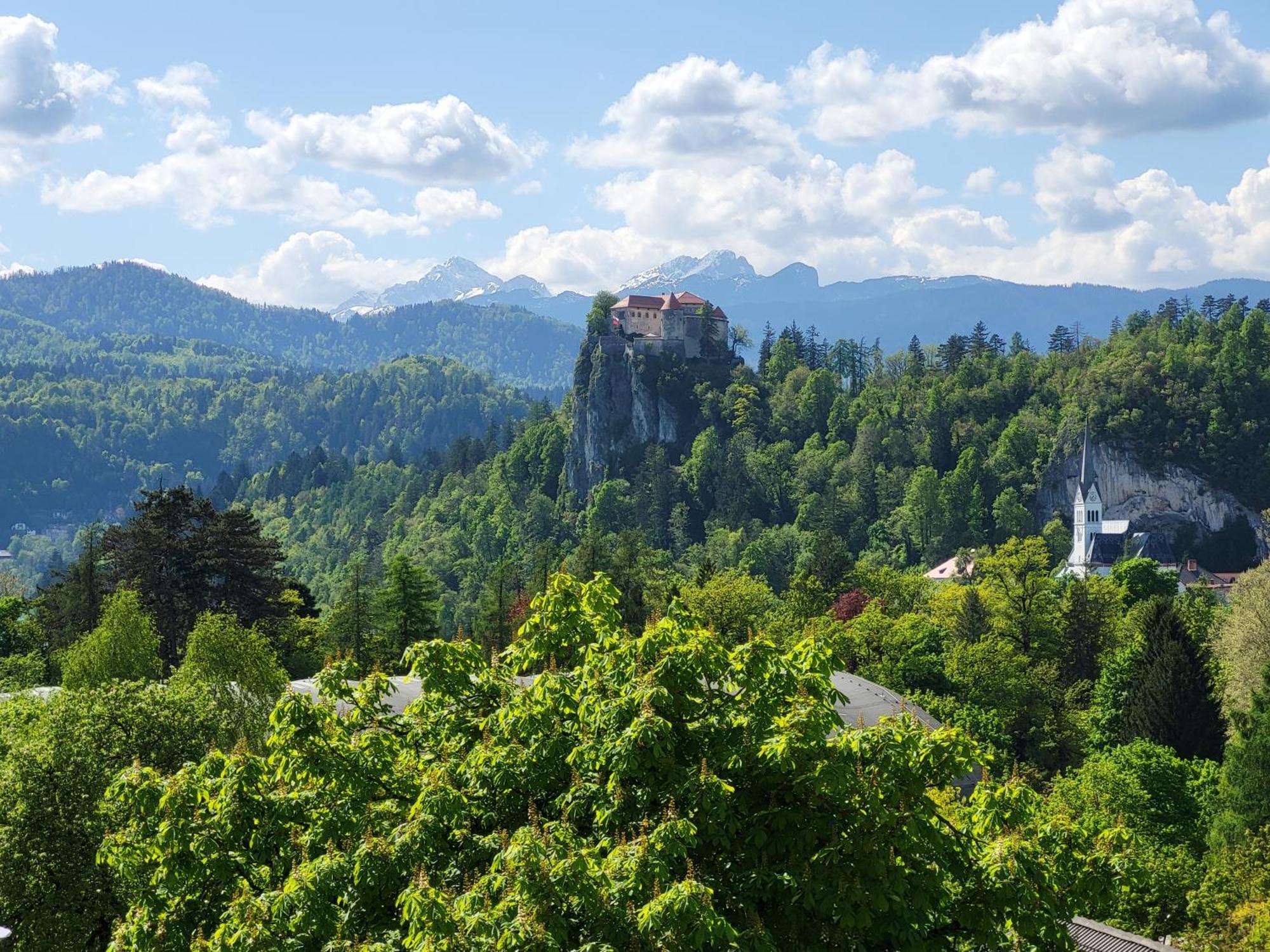 Apartment Alpine Lake Bled Exterior photo
